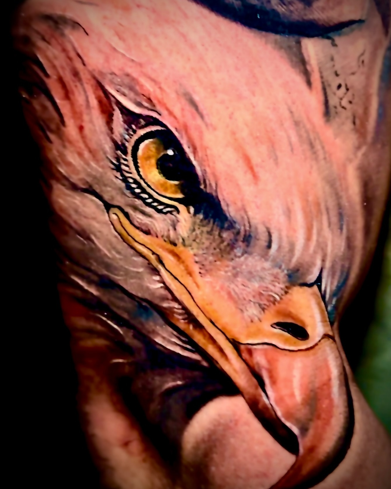 Color realism flamingo tattoo — Rafael Galvão