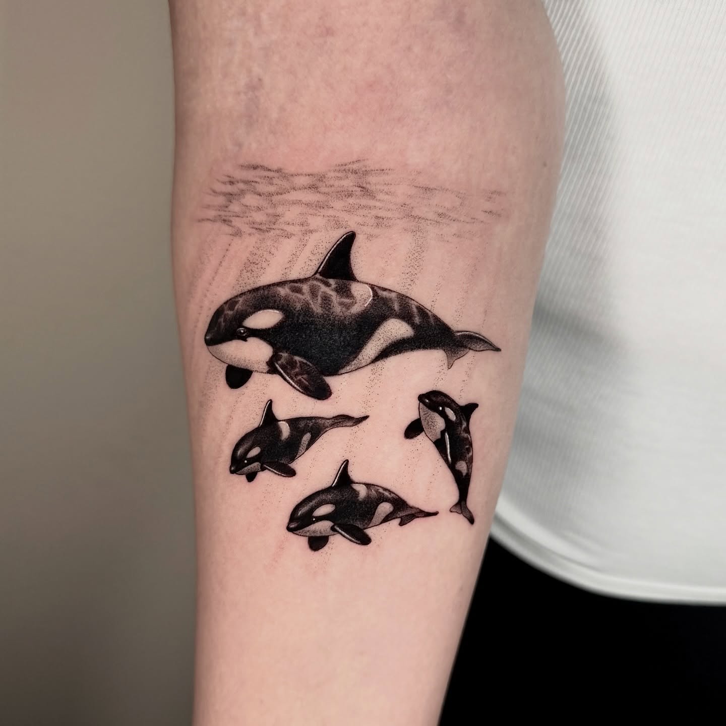 Orca family tattoo in realistic black & grey — Luke