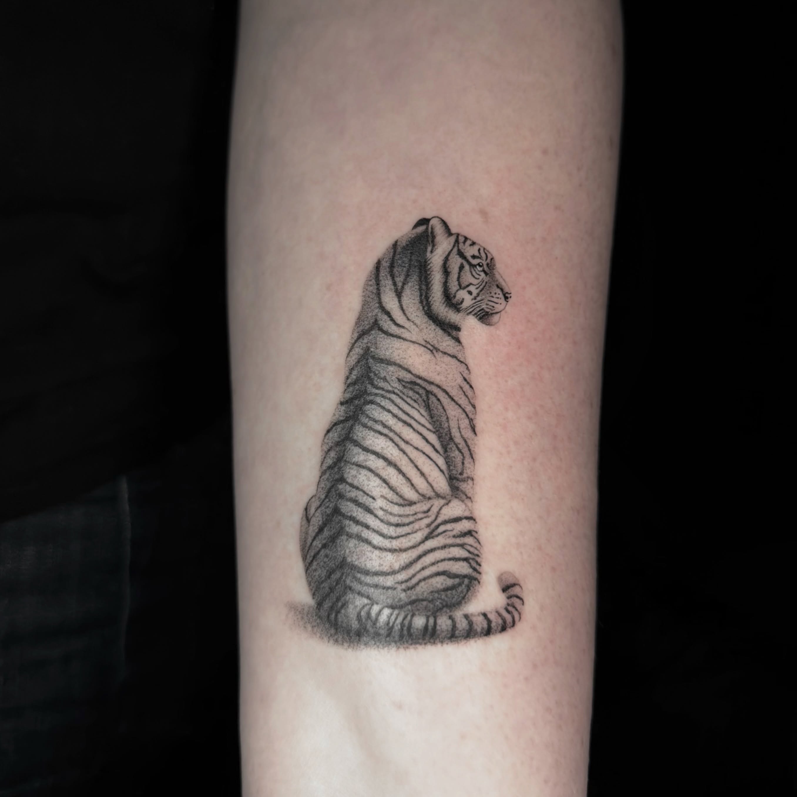 White tiger tattoo in micro realism — Luke