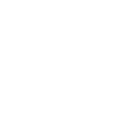 Ink Scale